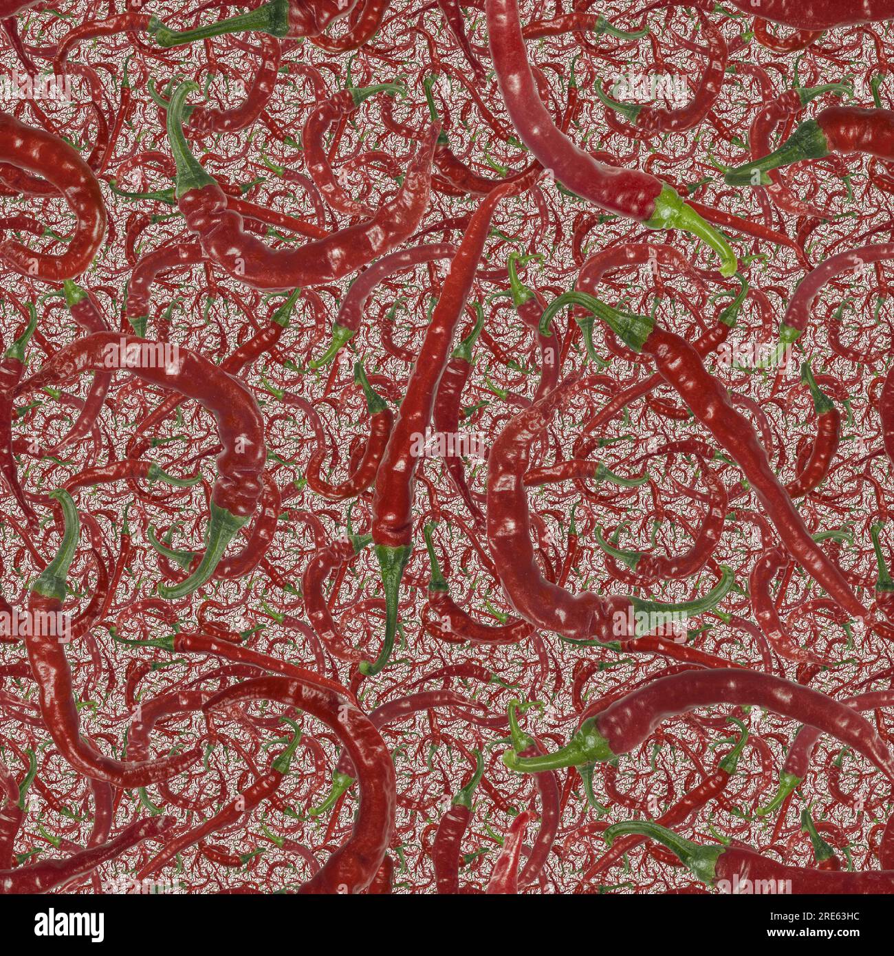 Motivo a ripetizione senza cuciture di peperoni di cayenna rossi su sfondo nero. Può essere affiancato orizzontalmente o verticalmente per formare una ripetizione senza cuciture. Foto Stock