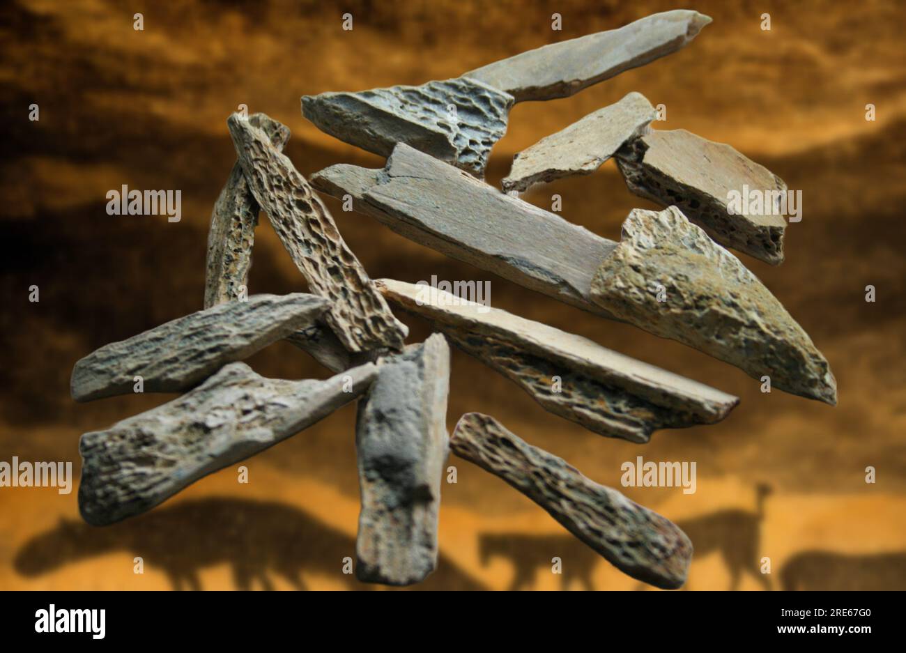 Frammenti di strumenti di pietra e ossa risalenti al Paleolitico Foto Stock