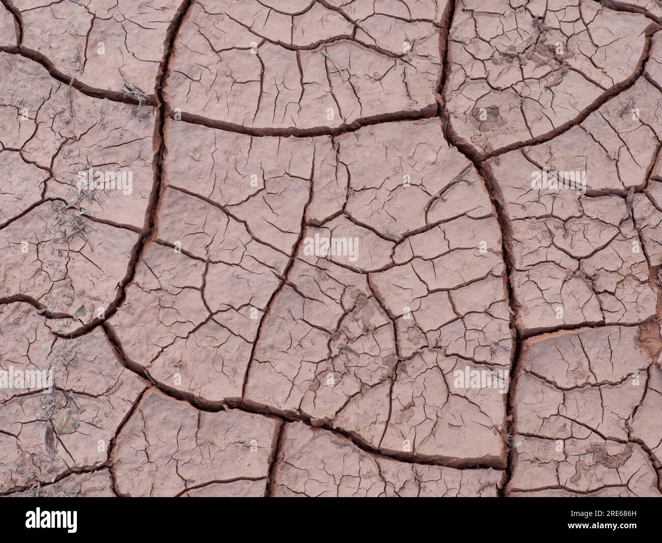 Dry Cracked Earth Desert siccità background Closeup Foto Stock