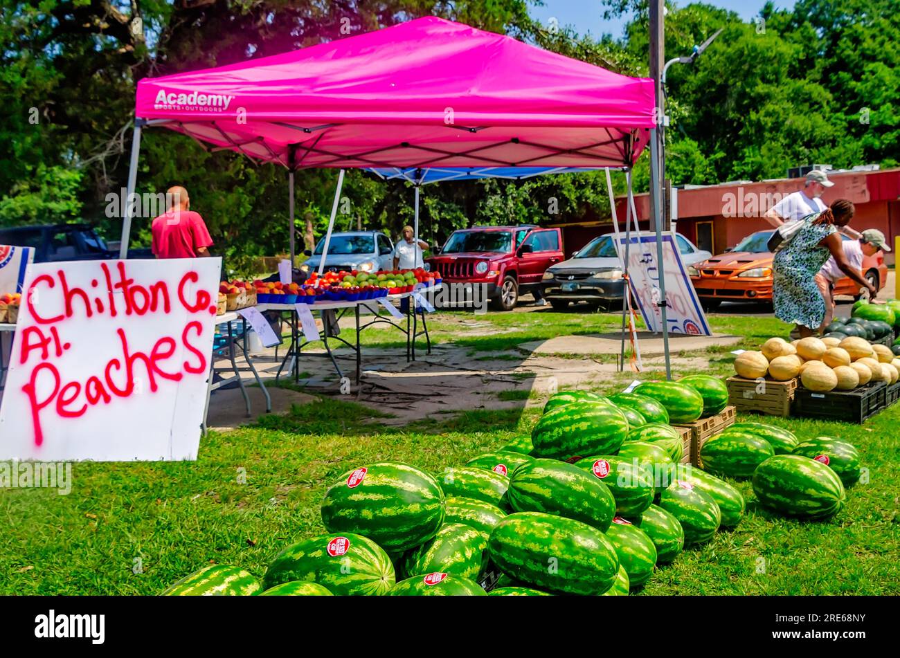 I clienti ispezionano i cocomeri allo stand di frutta di Randy Price, 27 giugno 2023, a Mobile, Alabama. Foto Stock