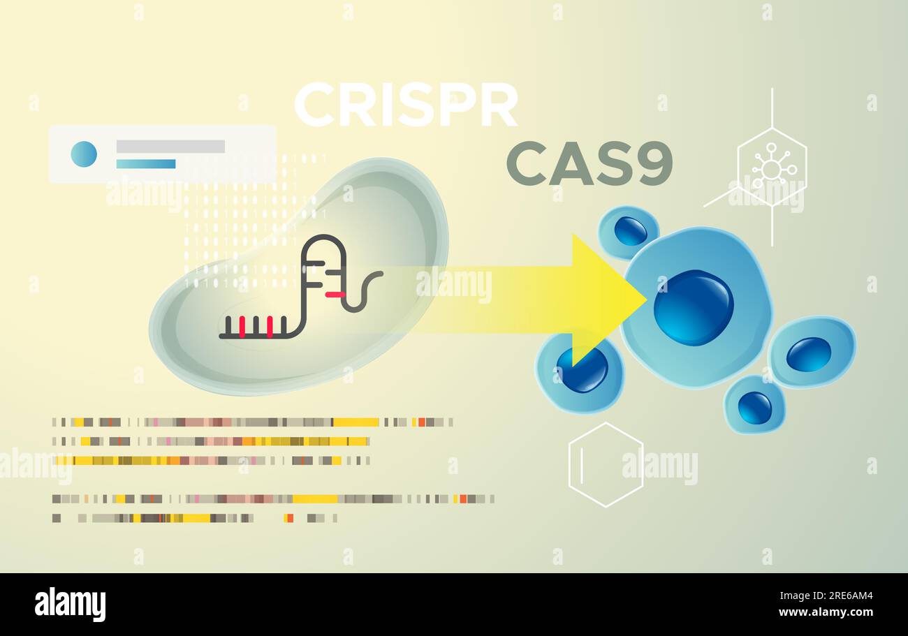 Ricerca genetica - Modifica genica e modifica dell'elica del DNA - tecnologia CRISPR-CAS9 - illustrazione astratta come file EPS 10 Illustrazione Vettoriale