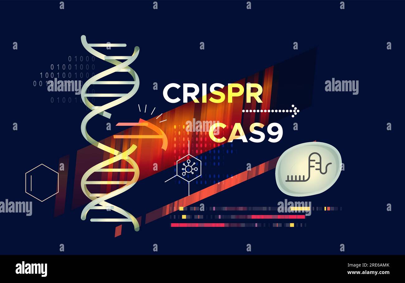 Ricerca genetica - Modifica genica e modifica dell'elica del DNA - tecnologia CRISPR-CAS9 - illustrazione astratta come file EPS 10 Illustrazione Vettoriale