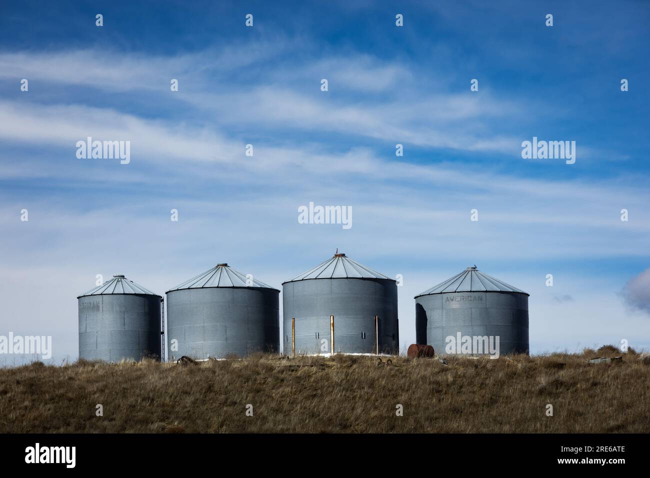 Piccoli silos di grano metallico e campi vuoti nel tardo inverno. Vicino a Pasco, Washington, USA. Foto Stock