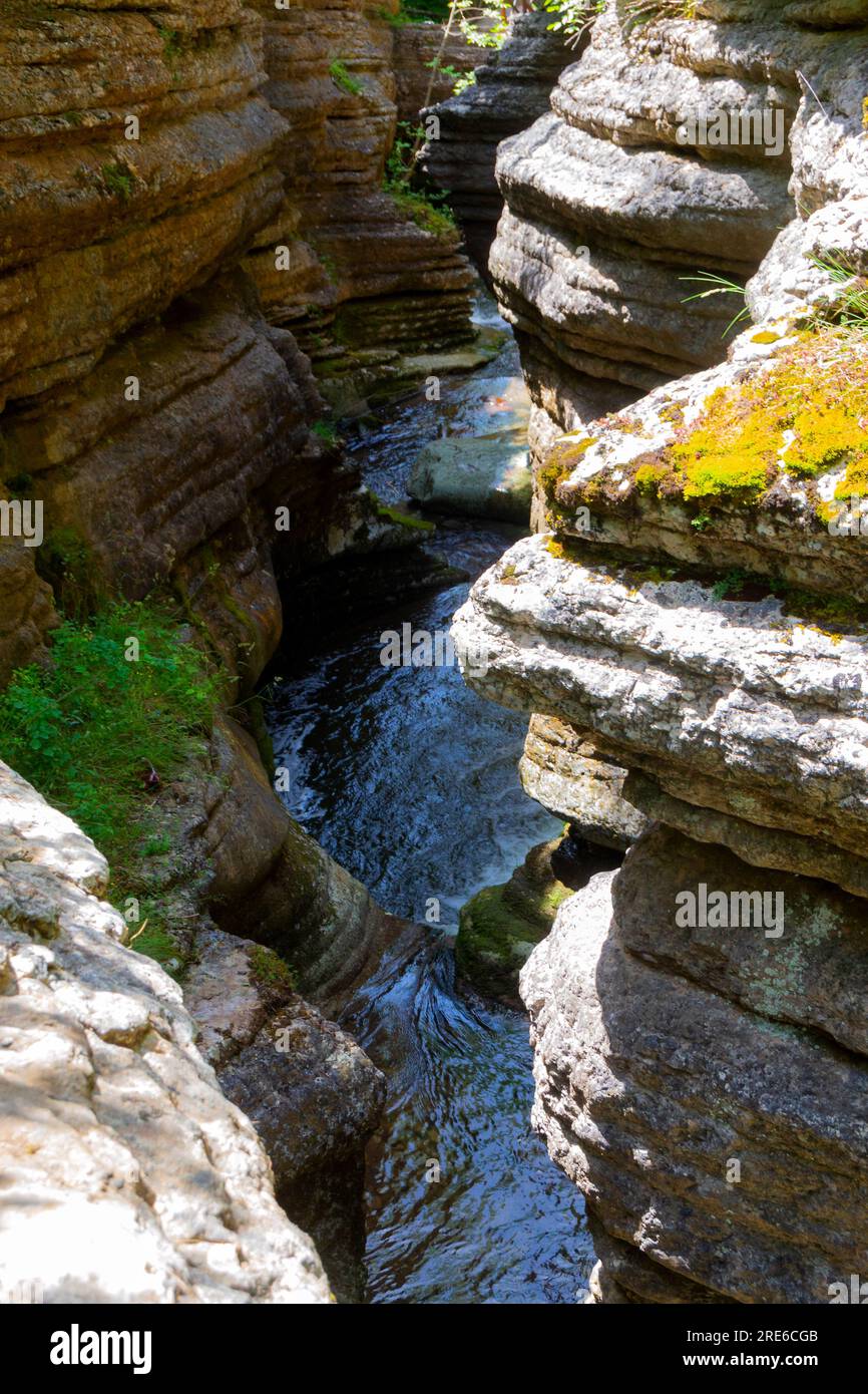 Esplora la gola di Rosomački Lonci sulla Stara Planina, un fenomeno naturale mozzafiato scolpito dal fiume Rosomača. Scopri le cascate e un po' Foto Stock