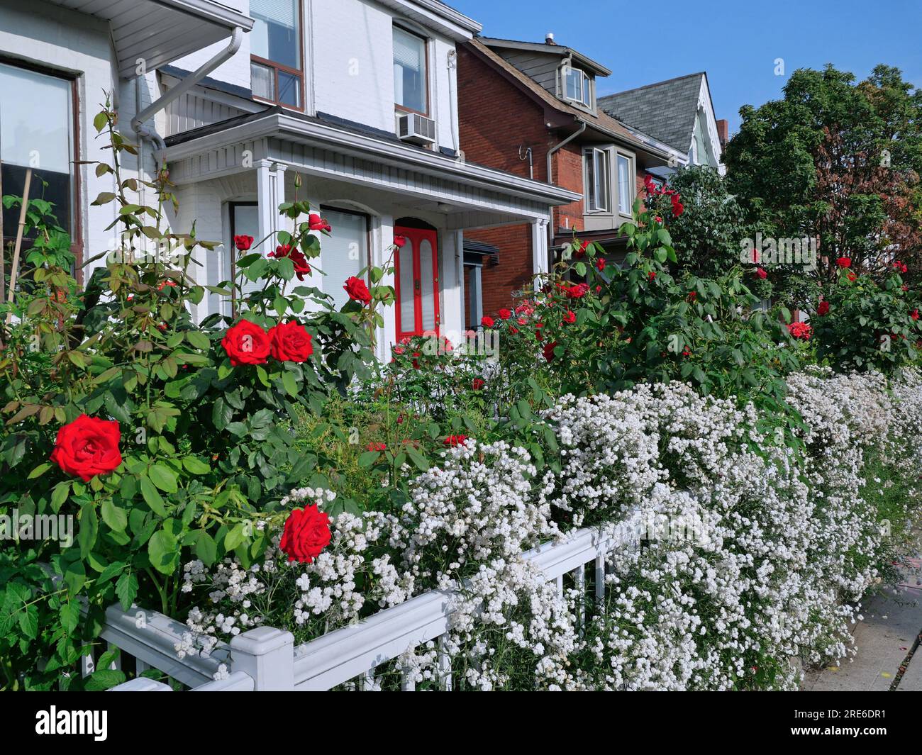 strada residenziale con fiori nel giardino di fronte Foto Stock