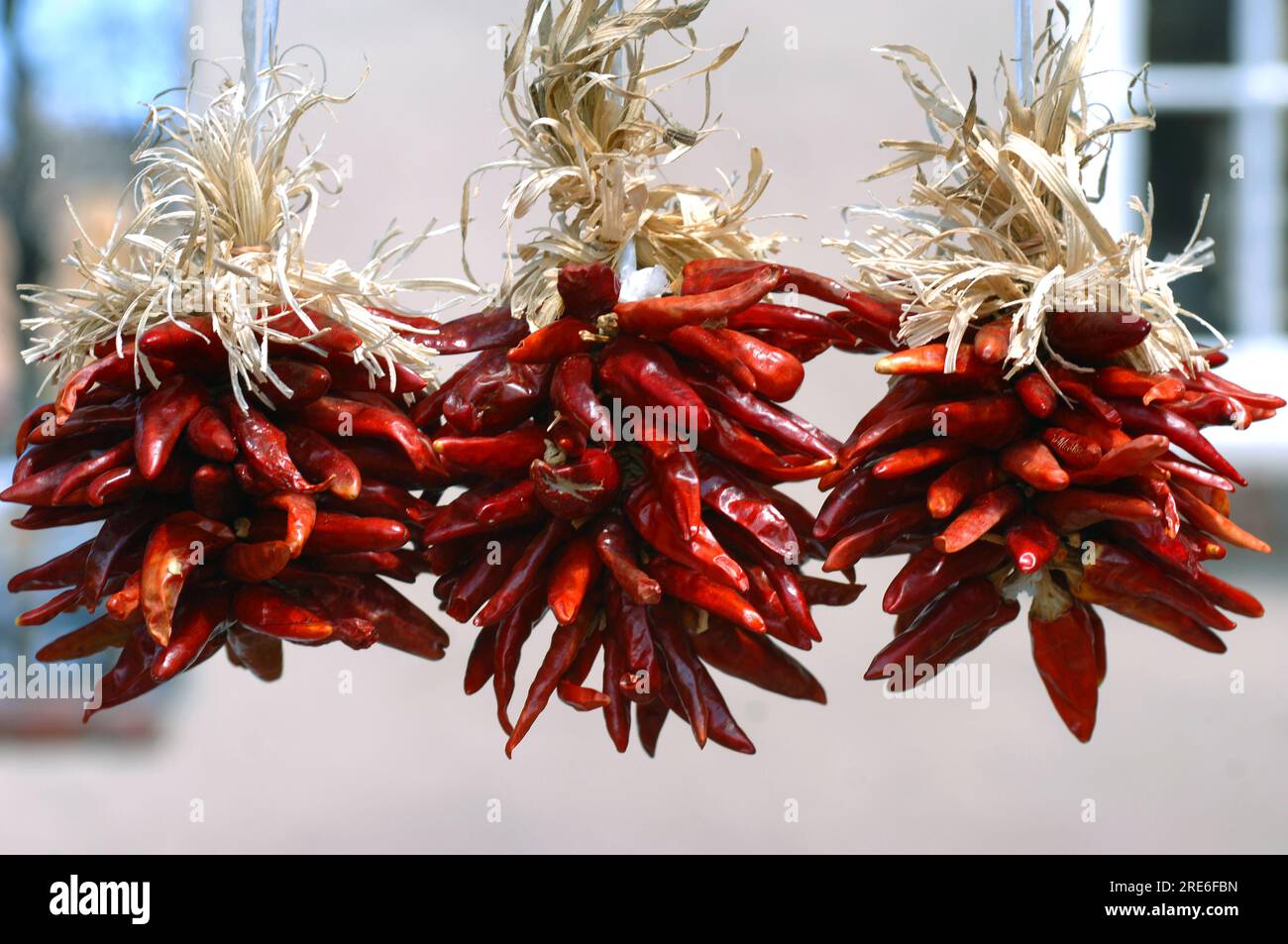 Tre mazzi di peperoncino sono appesi al mercato sulla piazza di Santa Fe, New Mexico. Foto Stock