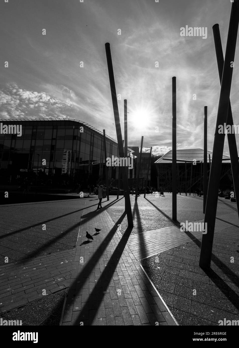 Lunghe giornate, lunghe ombre a Grand Canal Square Foto Stock