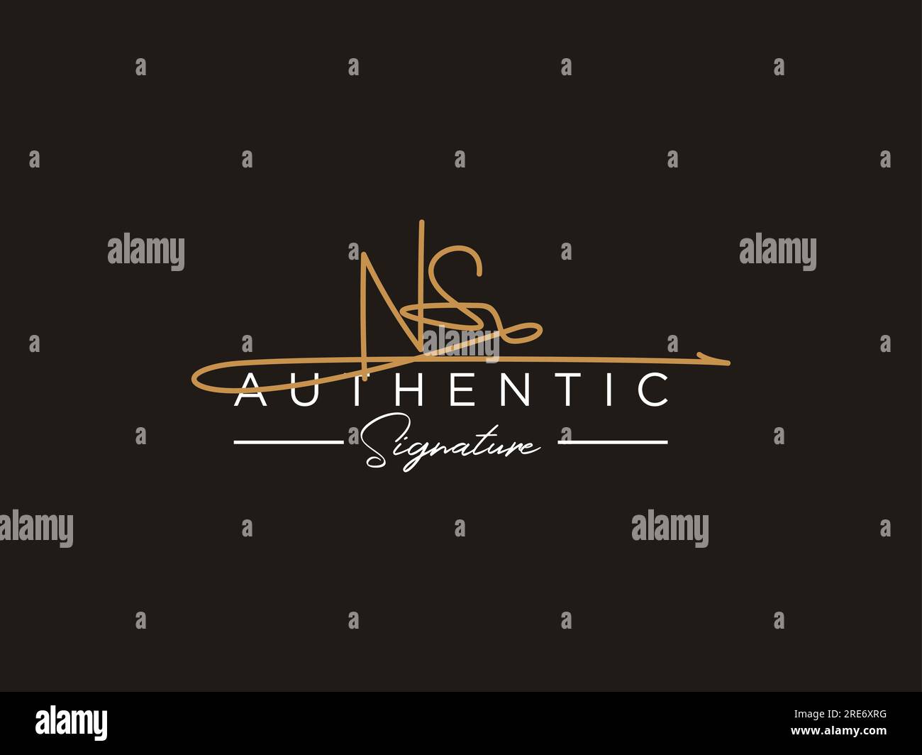 Vettore modello logo firma NS. Illustrazione Vettoriale