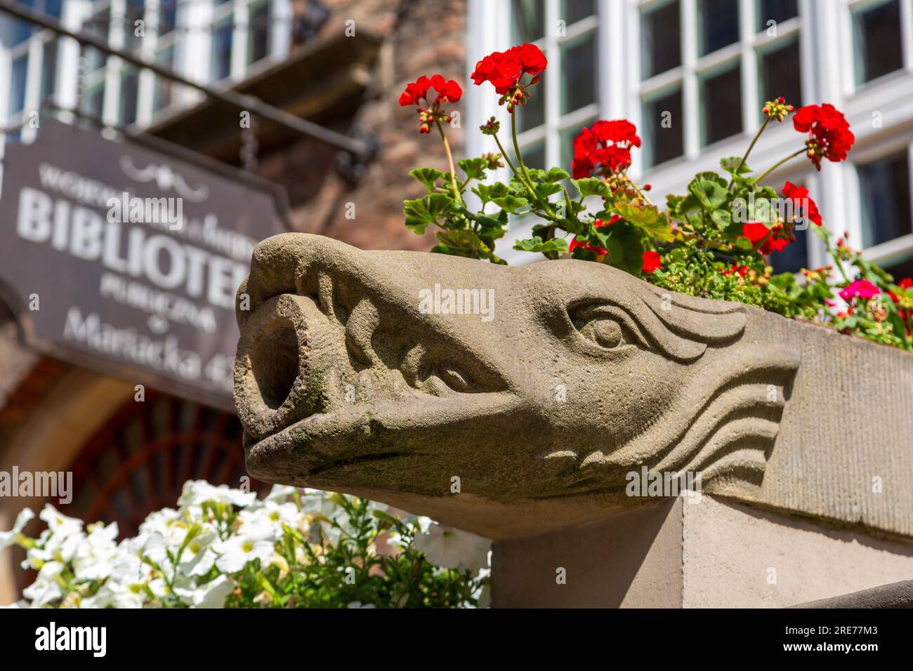 Gargoyle, Mariacka Street, Danzica, Polonia, Europa Foto Stock