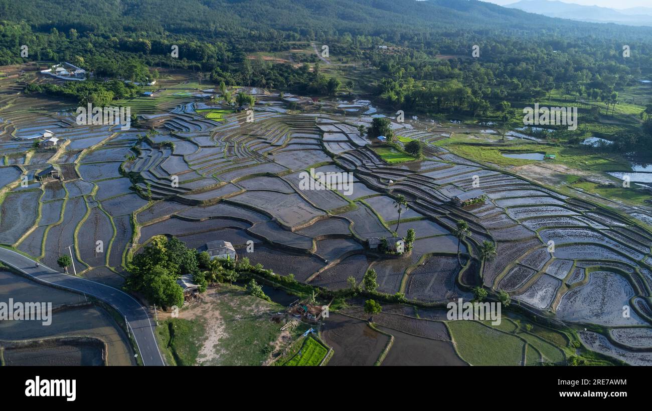 Vista aerea delle risaie a terrazze nelle montagne del nord della Thailandia. Splendido scenario della stagione agricola terrazzata. Foto Stock