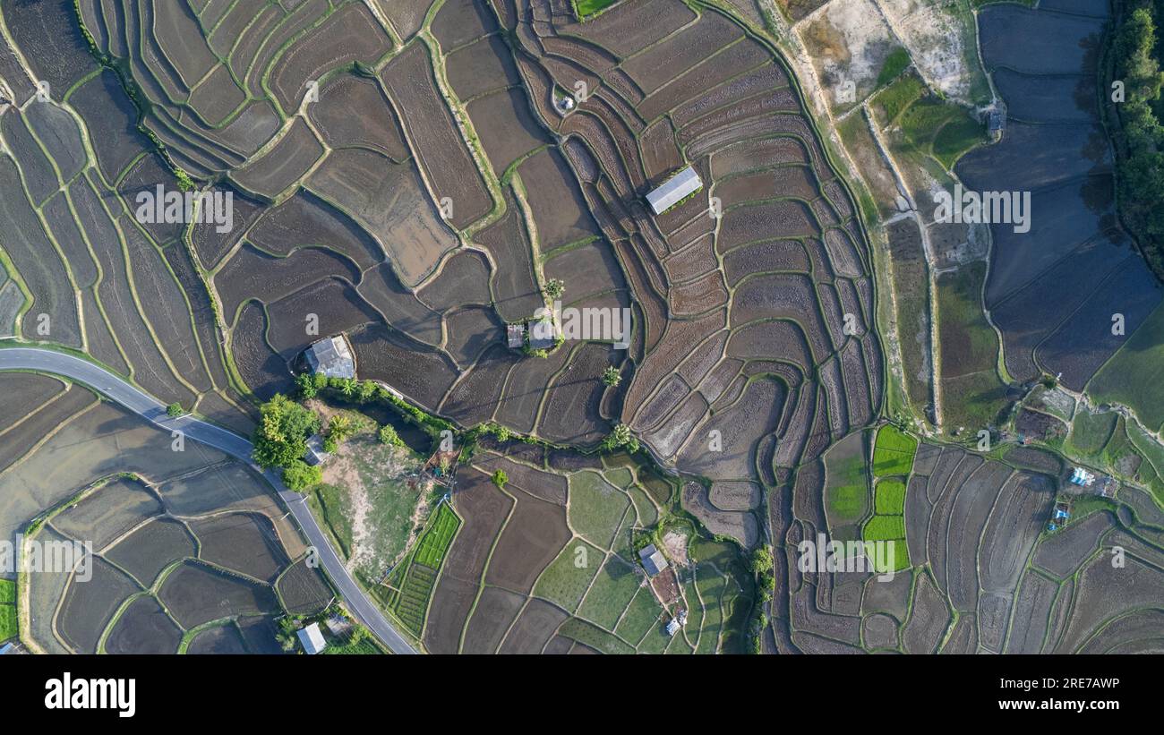 Vista aerea delle risaie a terrazze nelle montagne del nord della Thailandia. Splendido scenario della stagione agricola terrazzata. Foto Stock