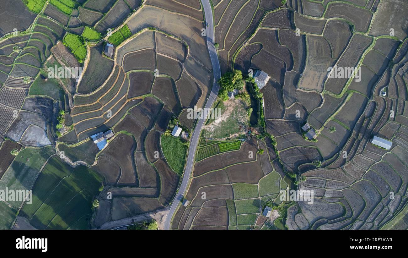Vista aerea delle risaie a terrazze nelle montagne del nord della Thailandia. Splendido scenario della stagione agricola terrazzata. Foto Stock