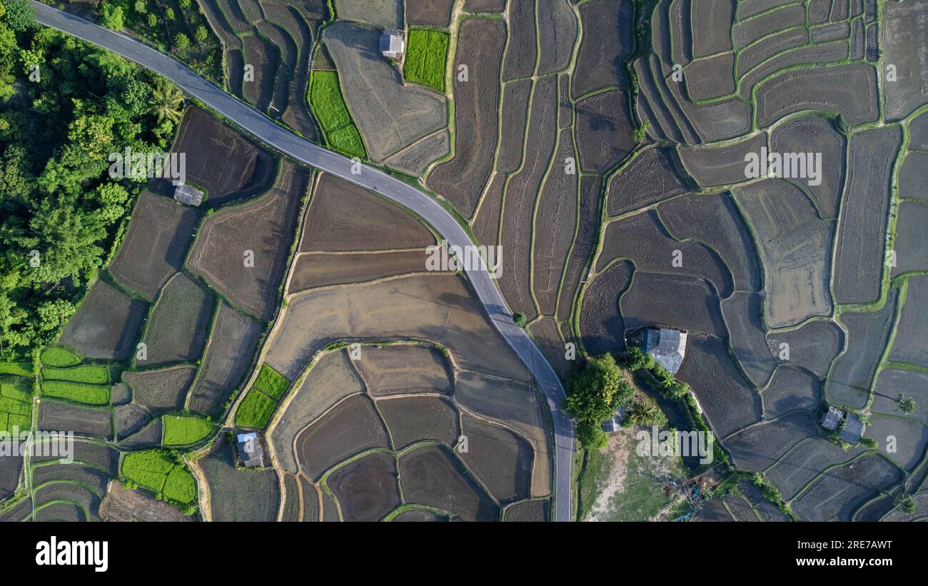 Vista aerea delle risaie a terrazze nelle montagne del nord della Thailandia. Splendido scenario della stagione agricola terrazzata. Foto Stock