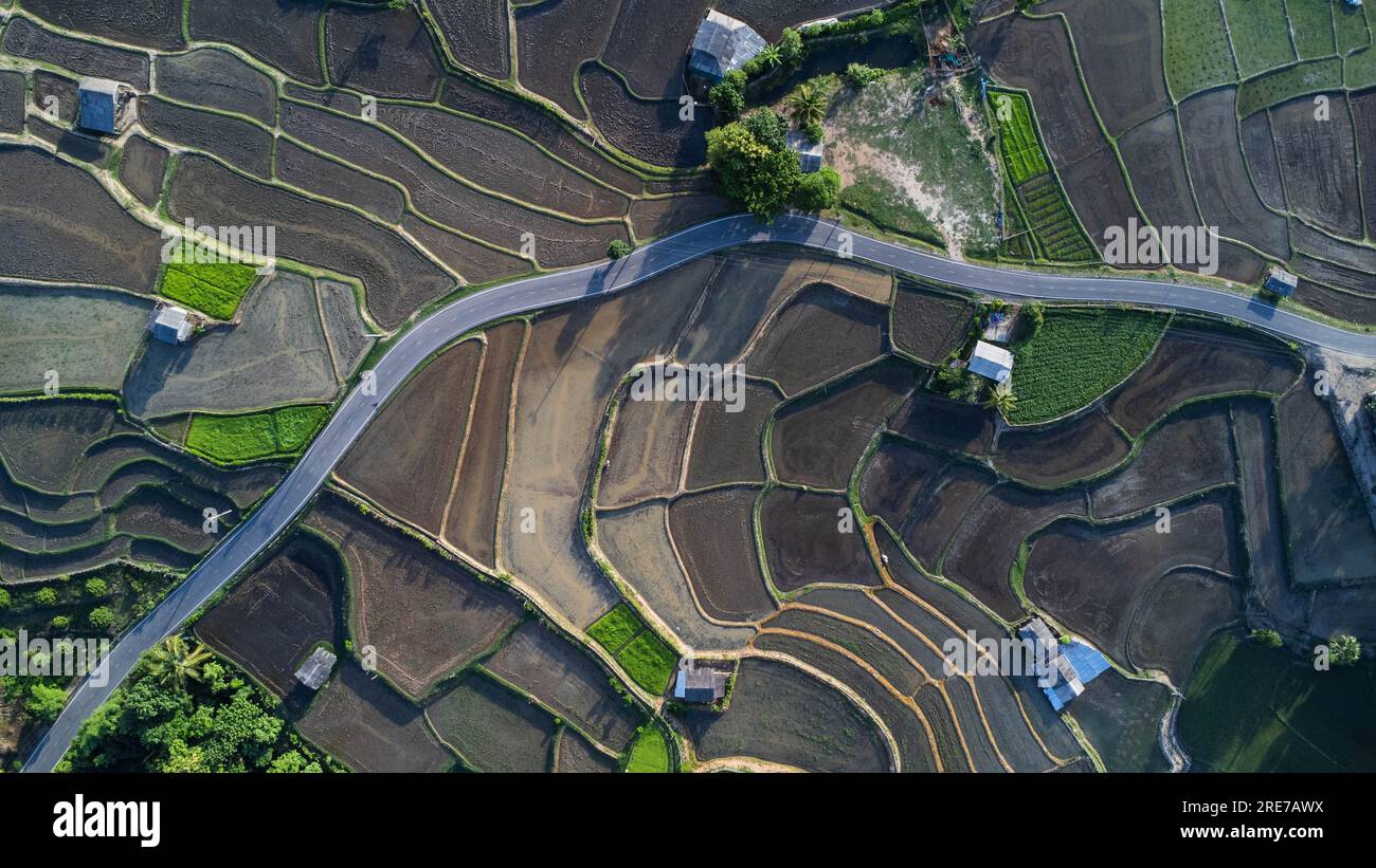 Vista aerea delle risaie a terrazze nelle montagne del nord della Thailandia. Splendido scenario della stagione agricola terrazzata. Foto Stock