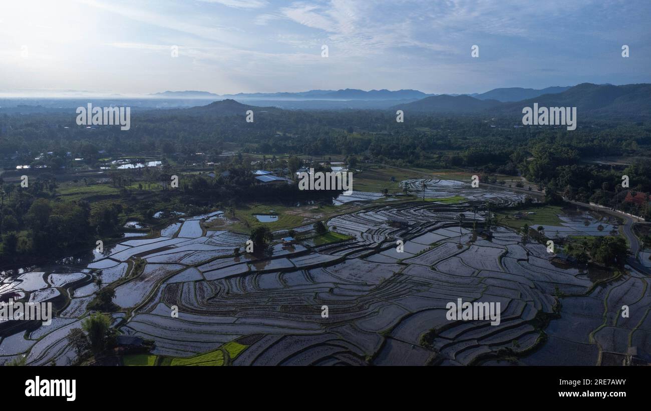 Vista aerea delle risaie a terrazze nelle montagne del nord della Thailandia. Splendido scenario della stagione agricola terrazzata. Foto Stock