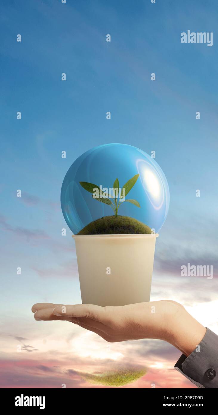 Mano umana che tiene le piante verdi crescono sul terreno con strato Protect in tazze usa e getta. Concetto di giornata mondiale all'ozono Foto Stock