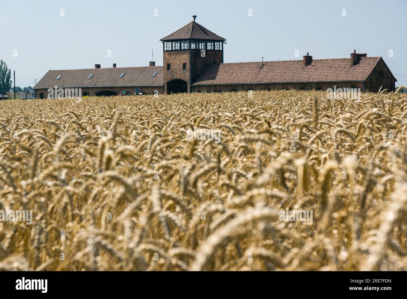 Campo di concentramento di Auschwitz-Birkenau, museo statale, Oswiecim, Polonia, europa orientale Foto Stock