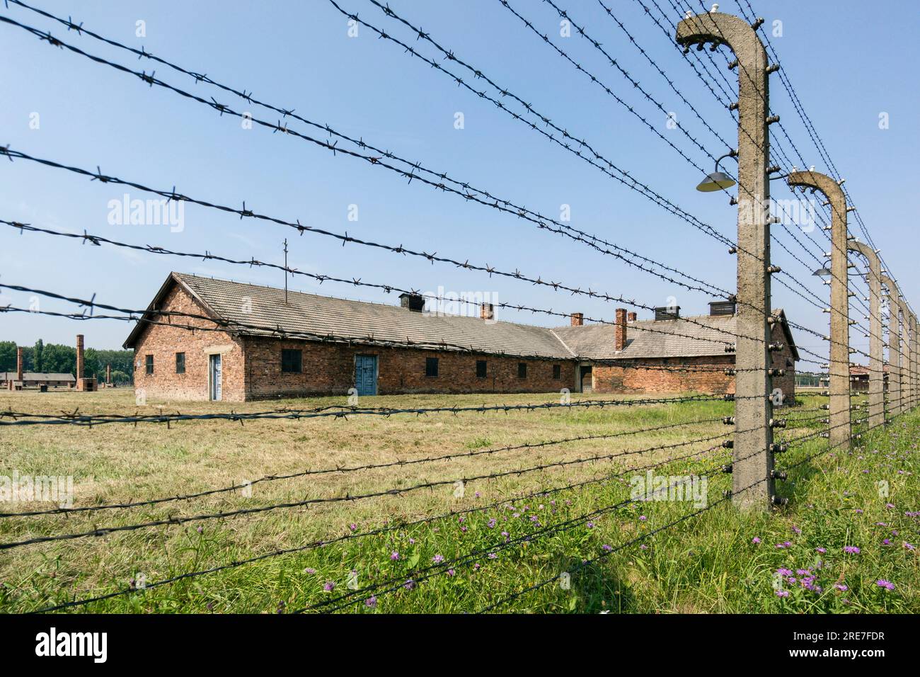 Filo spinato, campo di concentramento di Auschwitz-Birkenau, museo statale, Oswiecim, Polonia, europa orientale Foto Stock