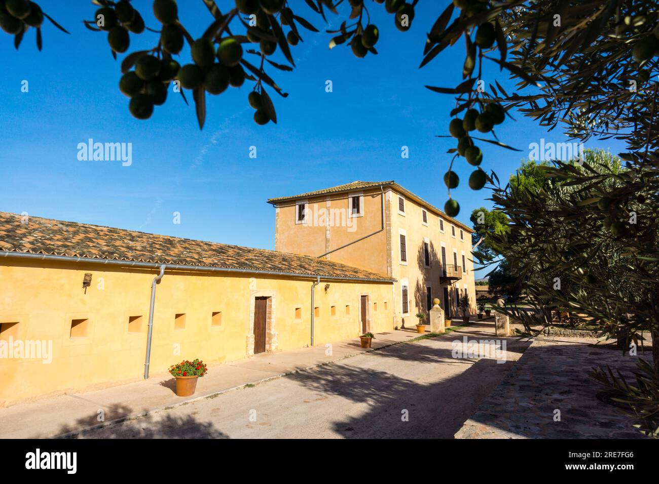 Public estate Son Real, Santa Margarida, Mallorca, Isole Baleari, Spagna, Europa Foto Stock