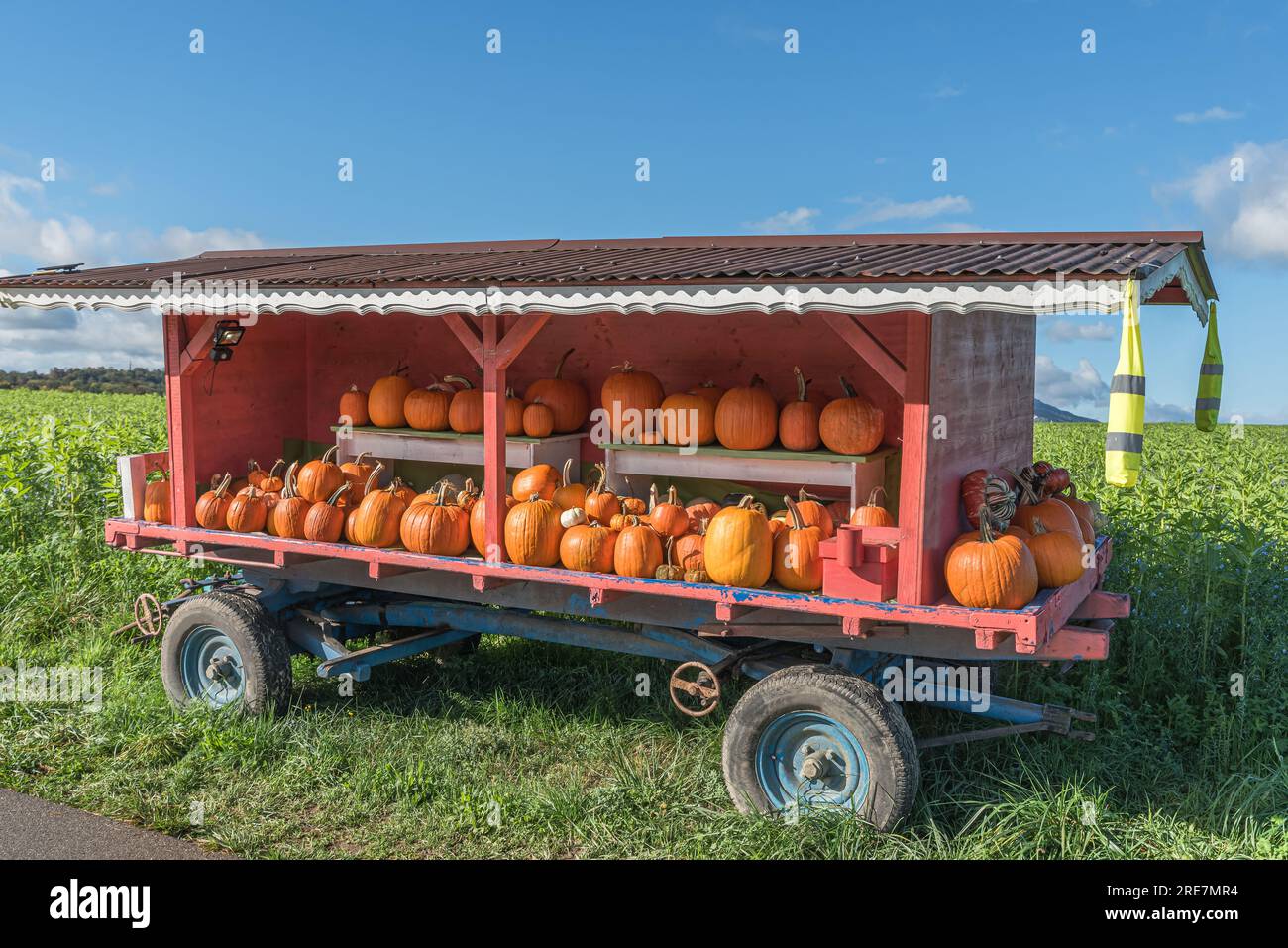 Carro con varie squash in vendita, Canton Zurigo, Svizzera Foto Stock