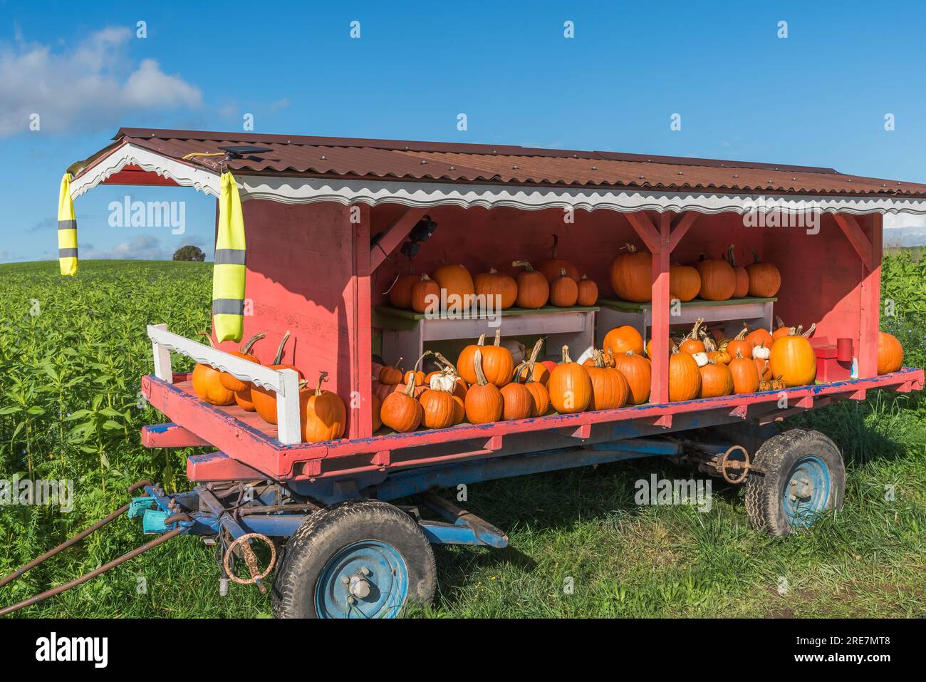 Carro con varie squash in vendita, Canton Zurigo, Svizzera Foto Stock