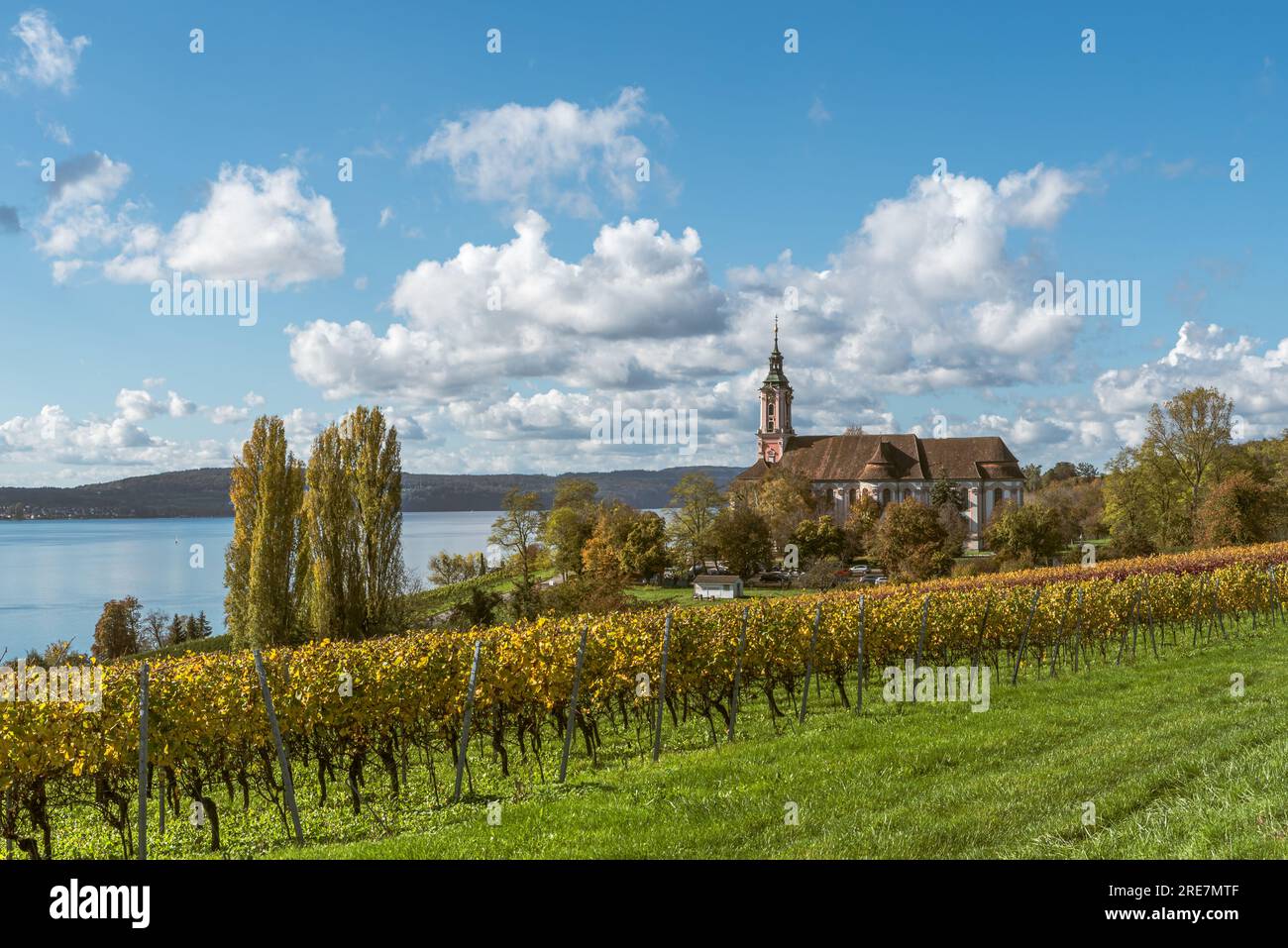 Chiesa di pellegrinaggio Birnau sul Lago di Costanza con vigneti in autunno, Uhldingen-Muehlhofen, alta Svevia, Baden-Wuerttemberg, Germania Foto Stock