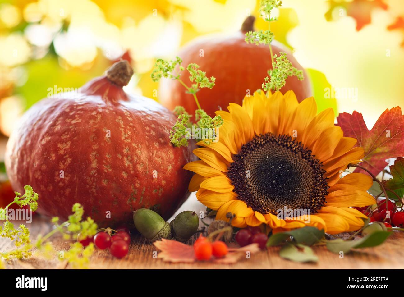 Natura morta autunnale con frutta, fiori e verdure di stagione su fondo di legno. Foto Stock