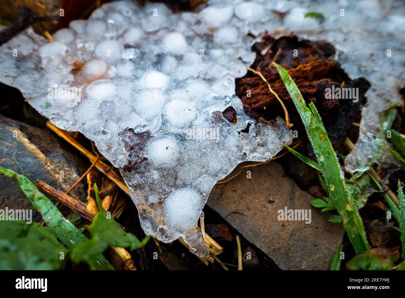 Pietre di grandine congelate nella regione himalayana di Uttarakhand durante l'inverno. Foto Stock