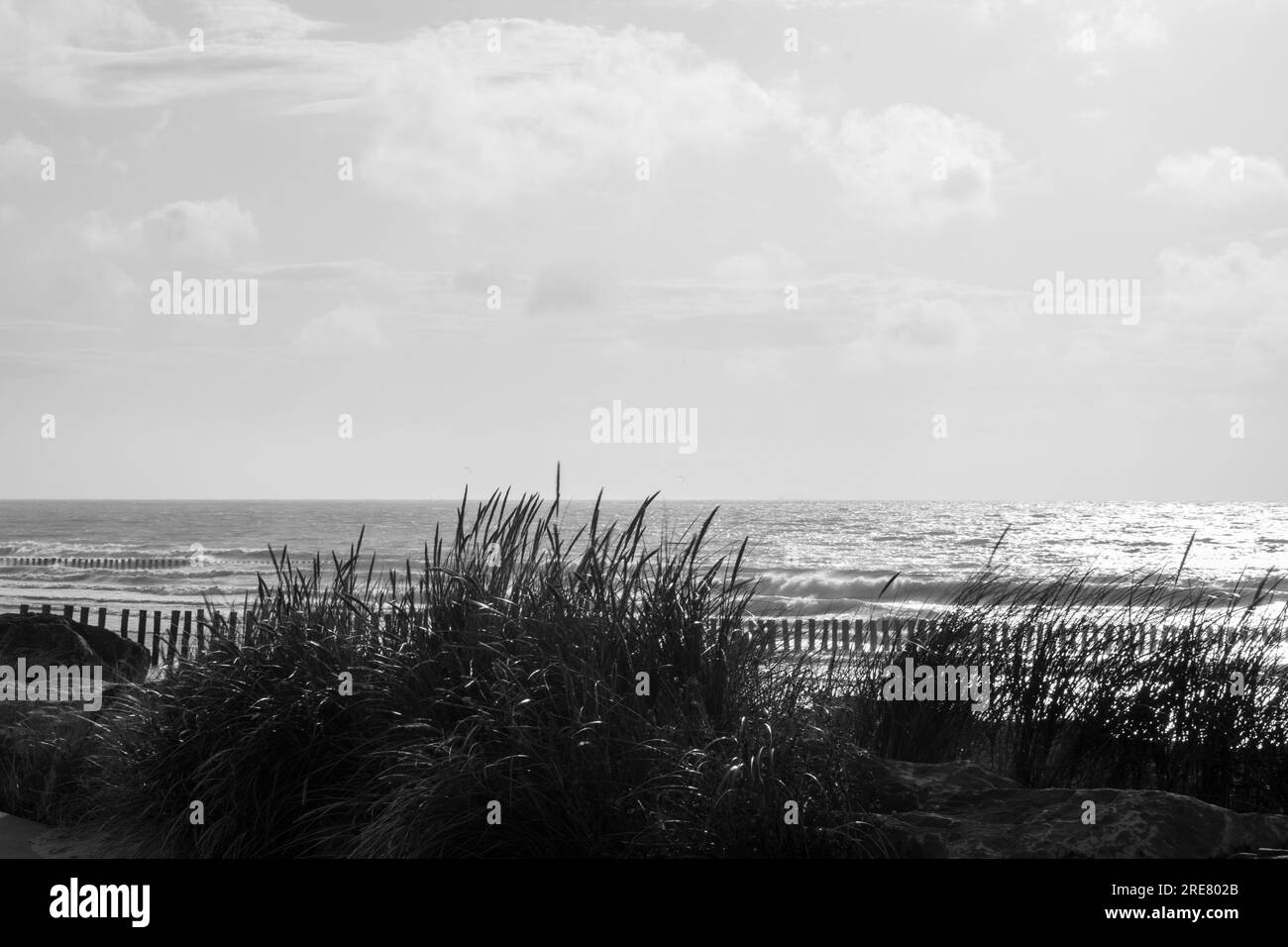 beach sunset in bianco e nero Foto Stock