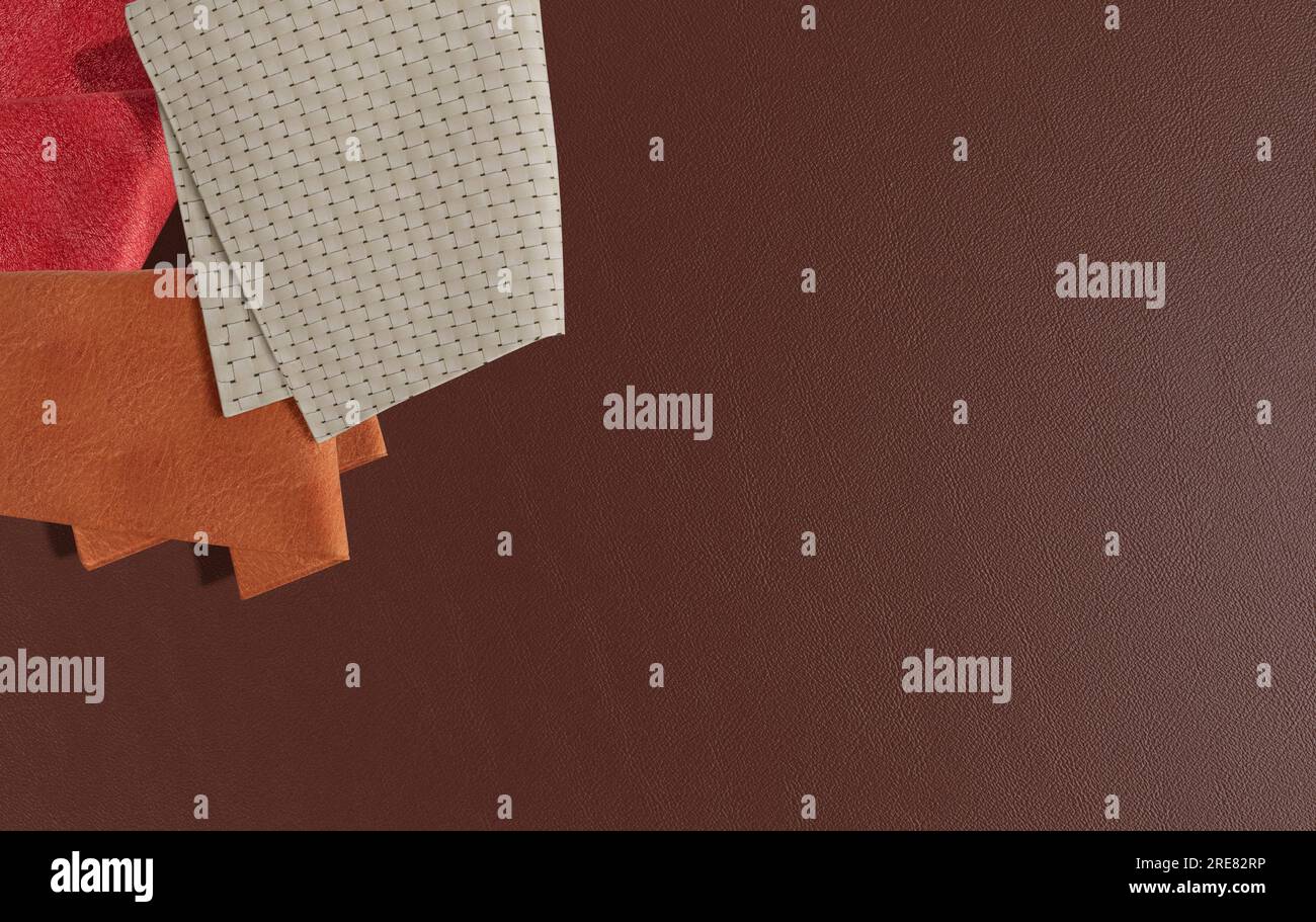Moodboard interno, vista dall'alto del moodboard, sfondo in pelle, campioni di tessuto Foto Stock