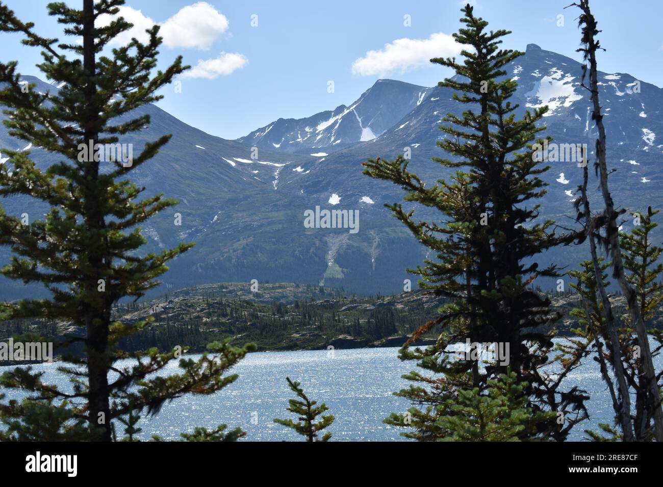 Estate in Alaska. Foto Stock