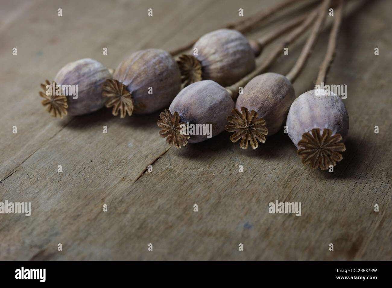 un mazzo di papaveri secchi su un tavolo di legno Foto Stock