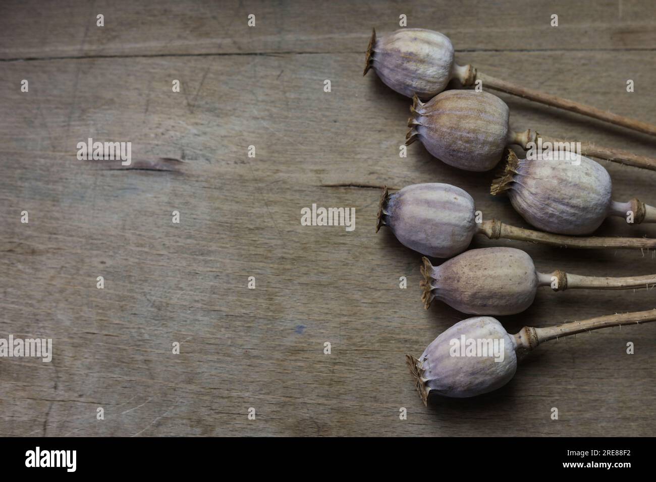 un mazzo di papaveri secchi su un tavolo di legno Foto Stock