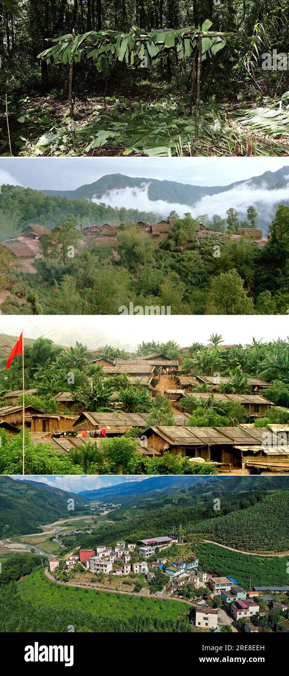 (230726) - JINPING, 26 luglio 2023 (Xinhua) - questa foto combinata mostra i cambiamenti nelle condizioni abitative dei Kucong: Il capannone di foglie di banana costruito da Zhang Puzhong sulla base della sua memoria della vita primitiva del popolo Kucong nella foresta scattata il 23 luglio 2023 (in alto, Xinhua/Fei Maohua); Le capanne di paglia in un villaggio di Kucong, Jinping County, prese nel 1984 (2° dall'alto, Xinhua/min Fuquan); nuovissime case di adobe ricoperte di piastrelle di amianto nel villaggio di Xianami, Zhemi Township, Jinping County, prese nel novembre 2001 (3° dall'alto, Xinhua/Lin Yiguang); e una vista del villaggio di Xingfaling, Zhemi Township, Jinp Foto Stock