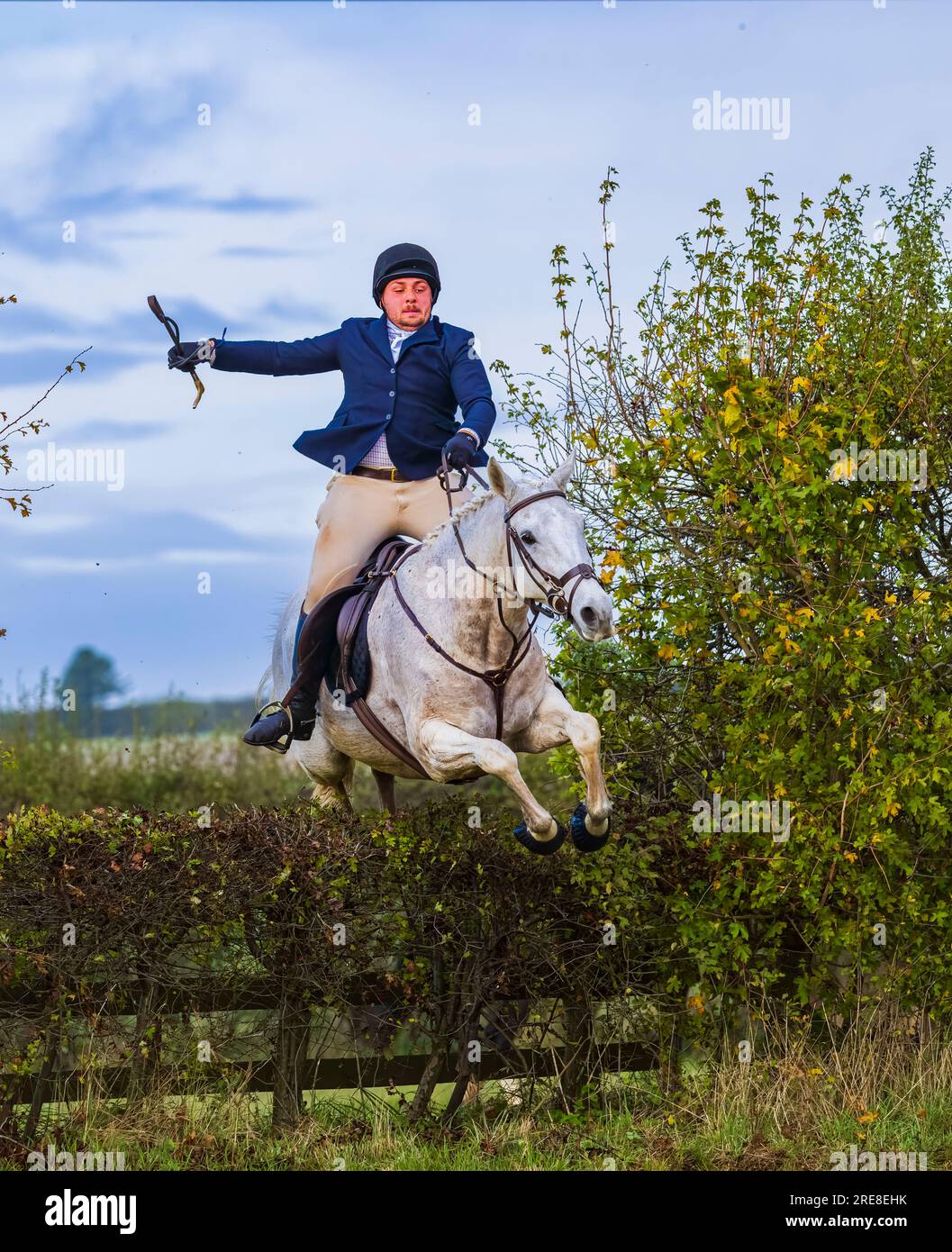 Un uomo con una giacca da equitazione su un cavallo e salta una siepe mentre galoppa sotto un cielo autunnale Foto Stock