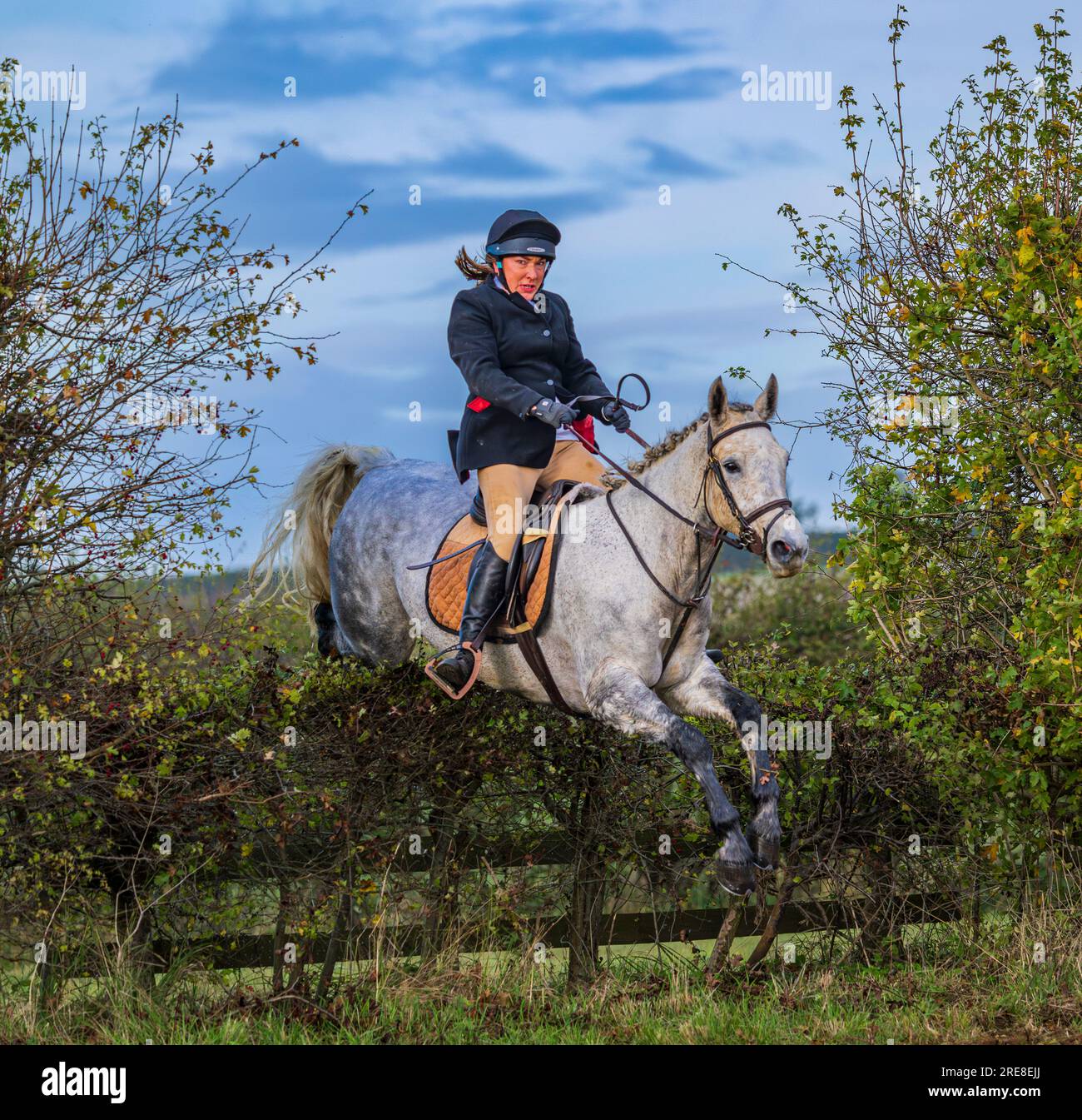 Giacca da cavallo hotsell