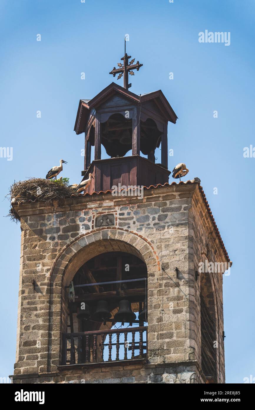 Cicogne in piedi sul nido in cima al campanile della chiesa contro il cielo blu Foto Stock