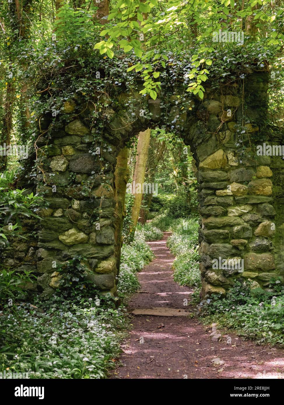 Arco a parete in pietra sopra un sentiero boschivo in primavera con aglio selvatico in fiore. Conosciuto anche come Penrhos Country Park. Penrhos Coastal Park, Isola di Anglesey Foto Stock