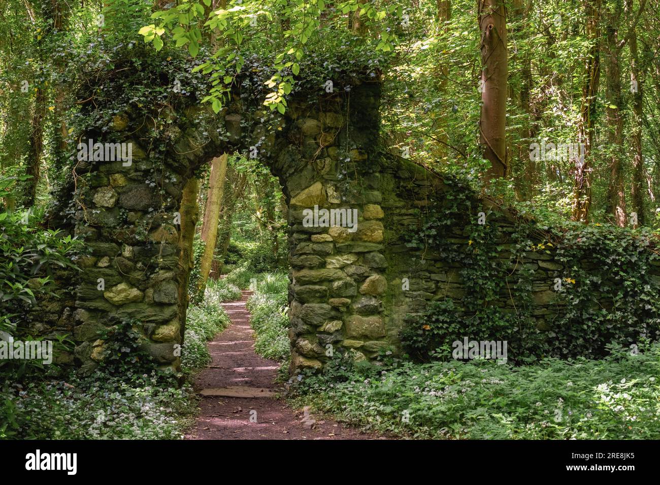 Arco a parete in pietra sopra un sentiero boschivo in primavera con aglio selvatico in fiore. Conosciuto anche come Penrhos Country Park. Penrhos Coastal Park, Isola di Anglesey Foto Stock