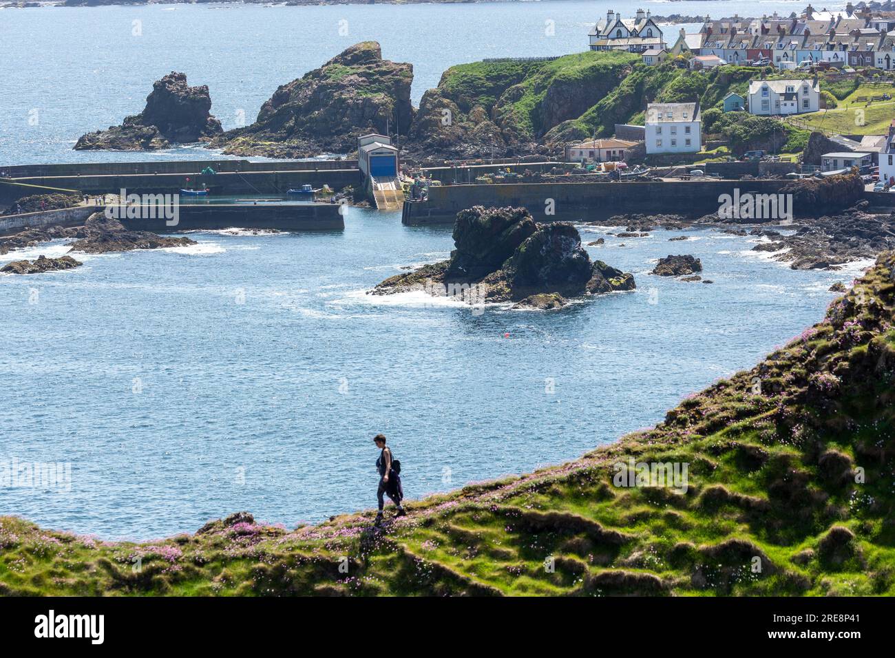 Una persona che cammina lungo la cima di una scogliera che si affaccia sulla città e sul porto di St Abbs. Foto Stock