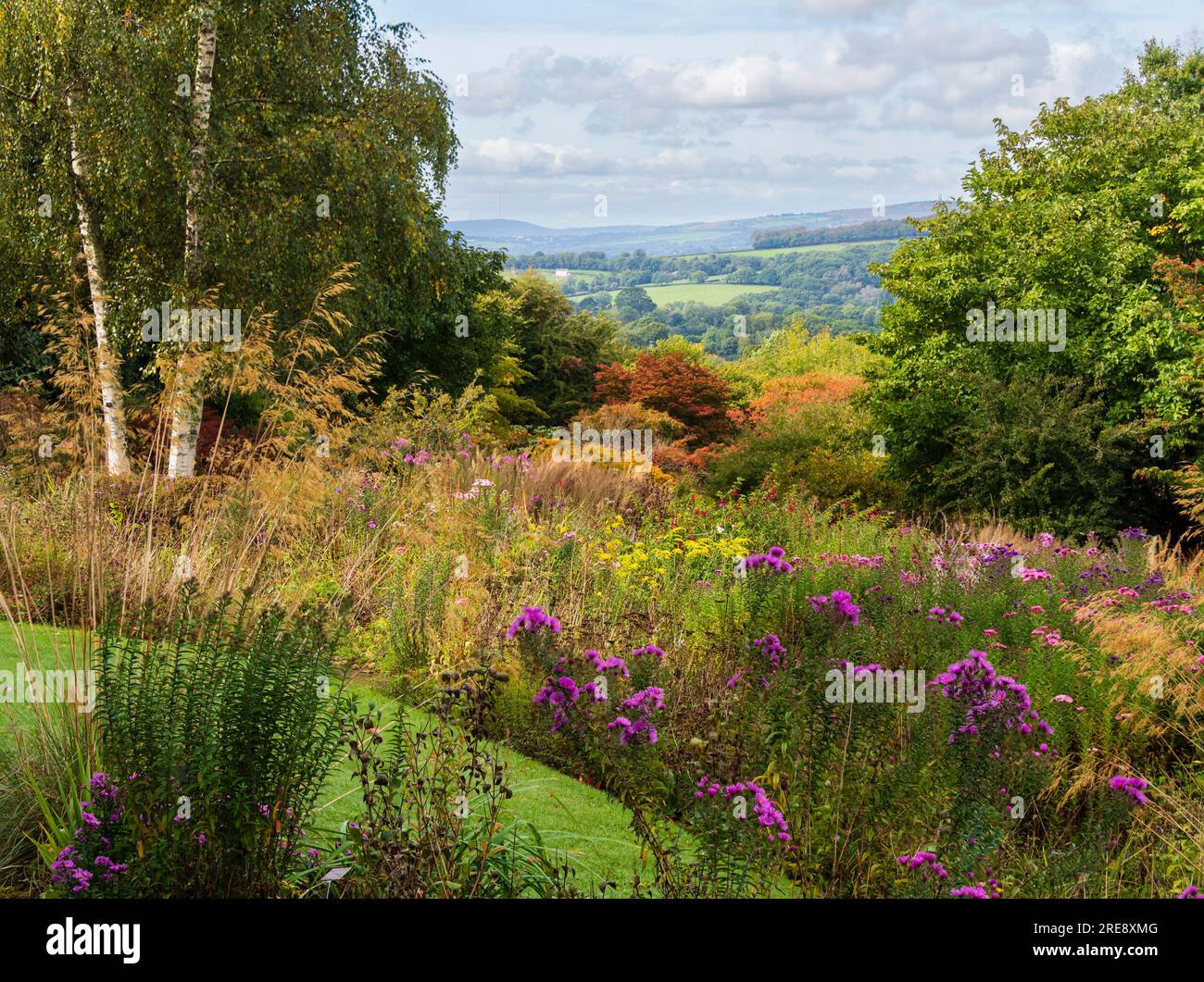 Vista autunnale attraverso il giardino del cottage e Acer Glade presso la Garden House, Buckland Monachorum, Devon, Regno Unito Foto Stock