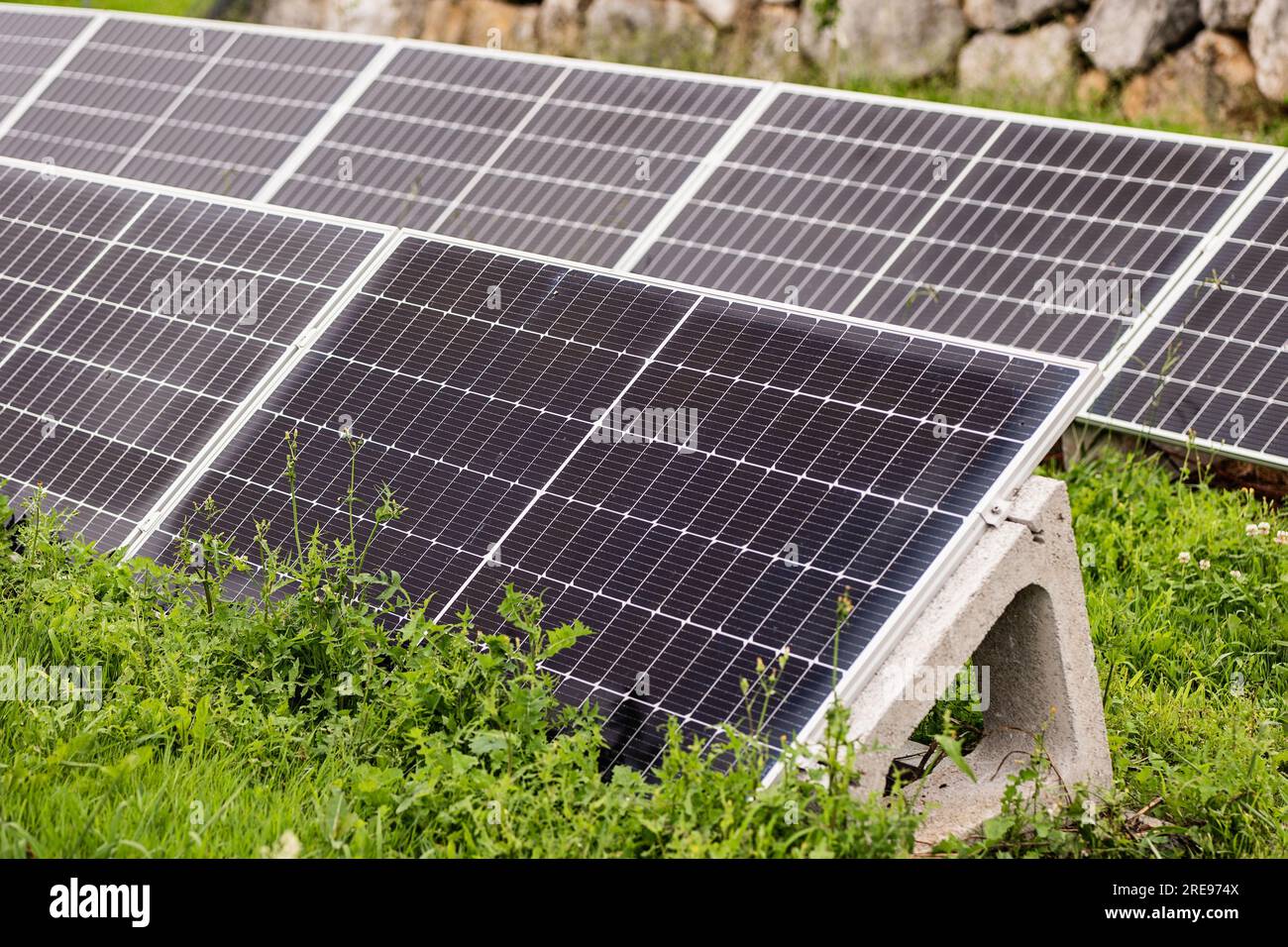 File di pannelli solari riflettenti non soggetti a manutenzione installati su prati verdi per l'energia pulita rinnovabile in estate, contro alberi sfocati Foto Stock