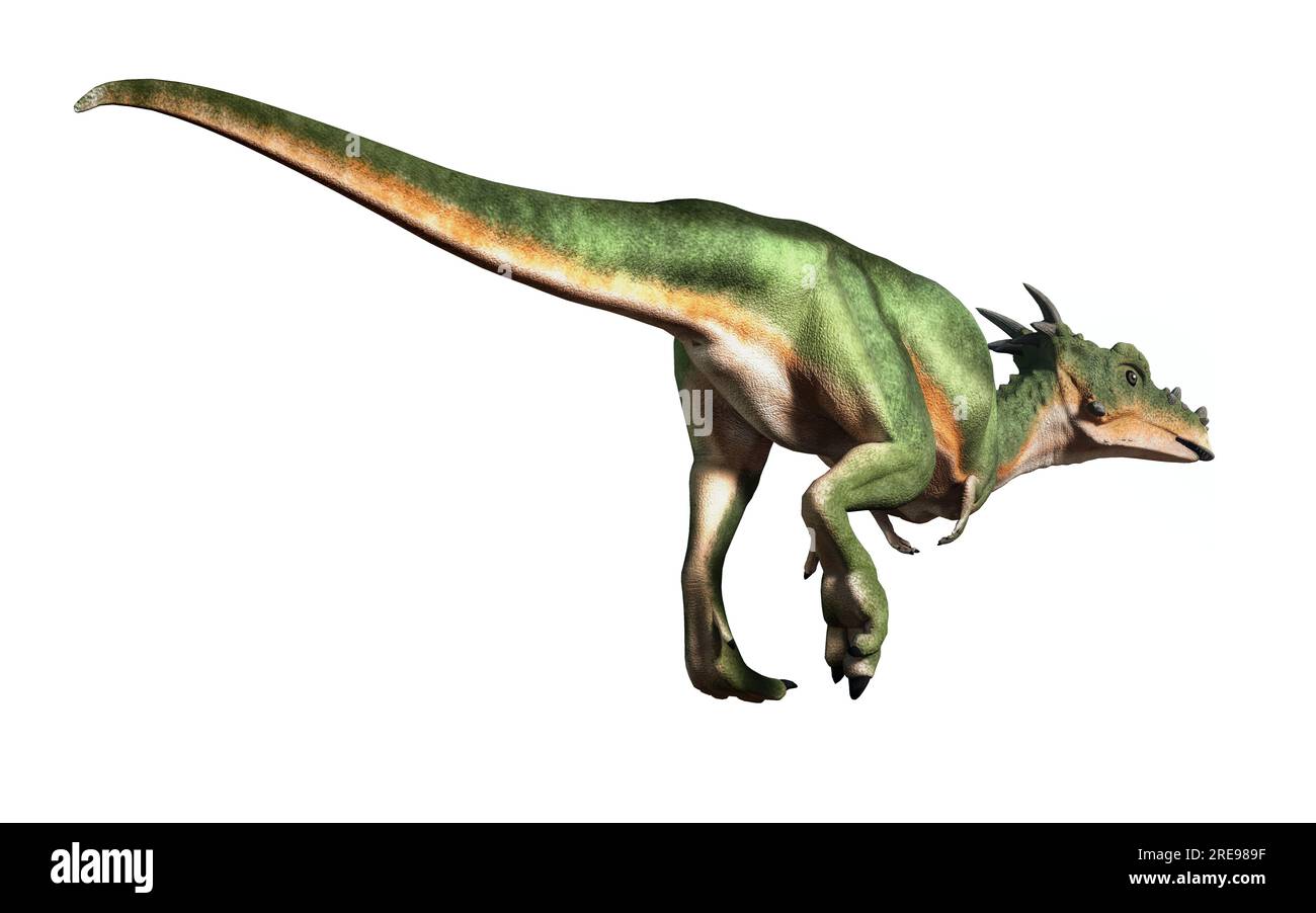 Vista posteriore. Dracorex è un genere di dinosauro pachycephalosauride vissuto in Nord America durante il Cretaceo superiore, isolato. Foto Stock