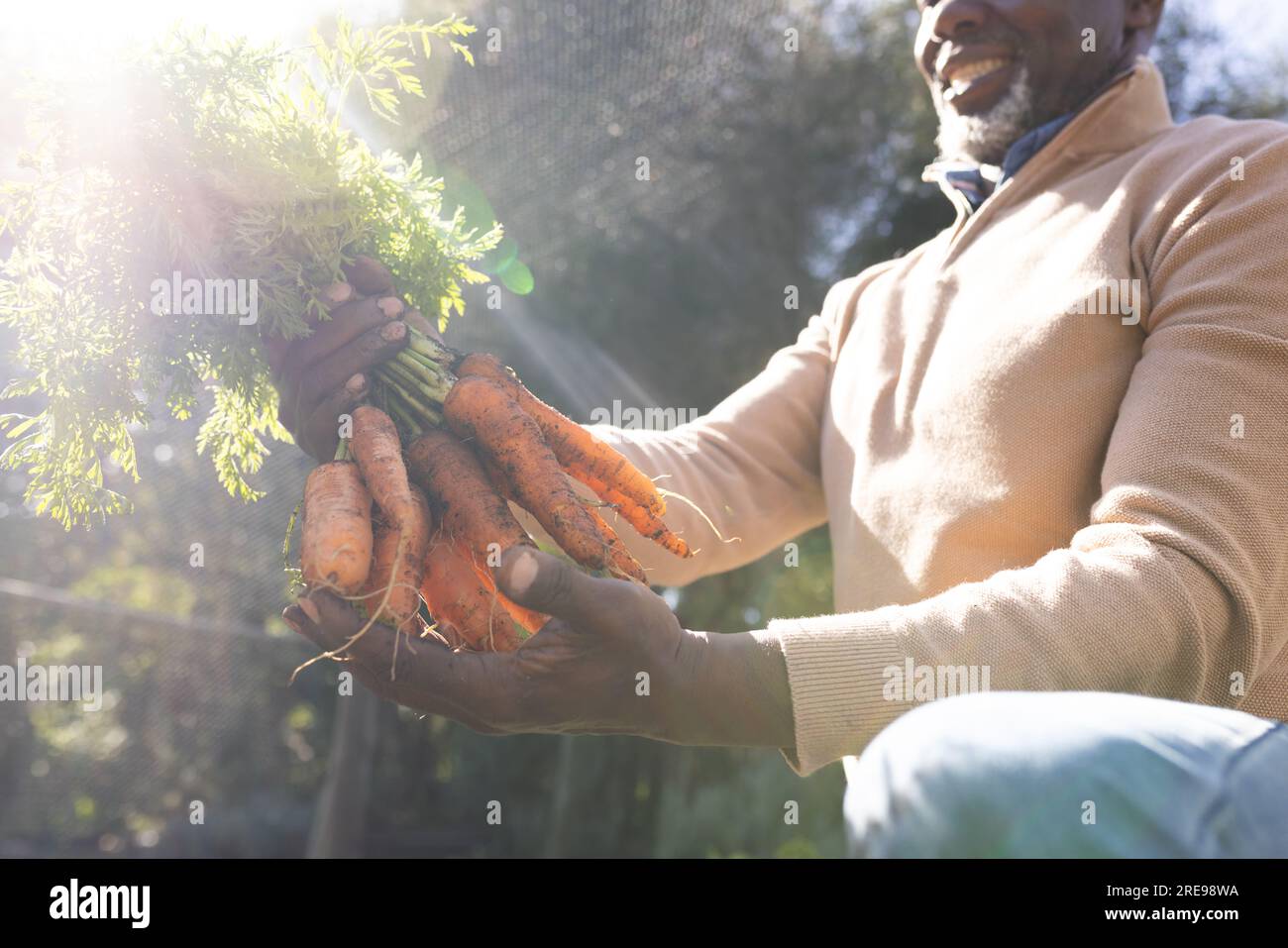 Felice uomo afro-americano anziano che tiene carote in giardino Foto Stock