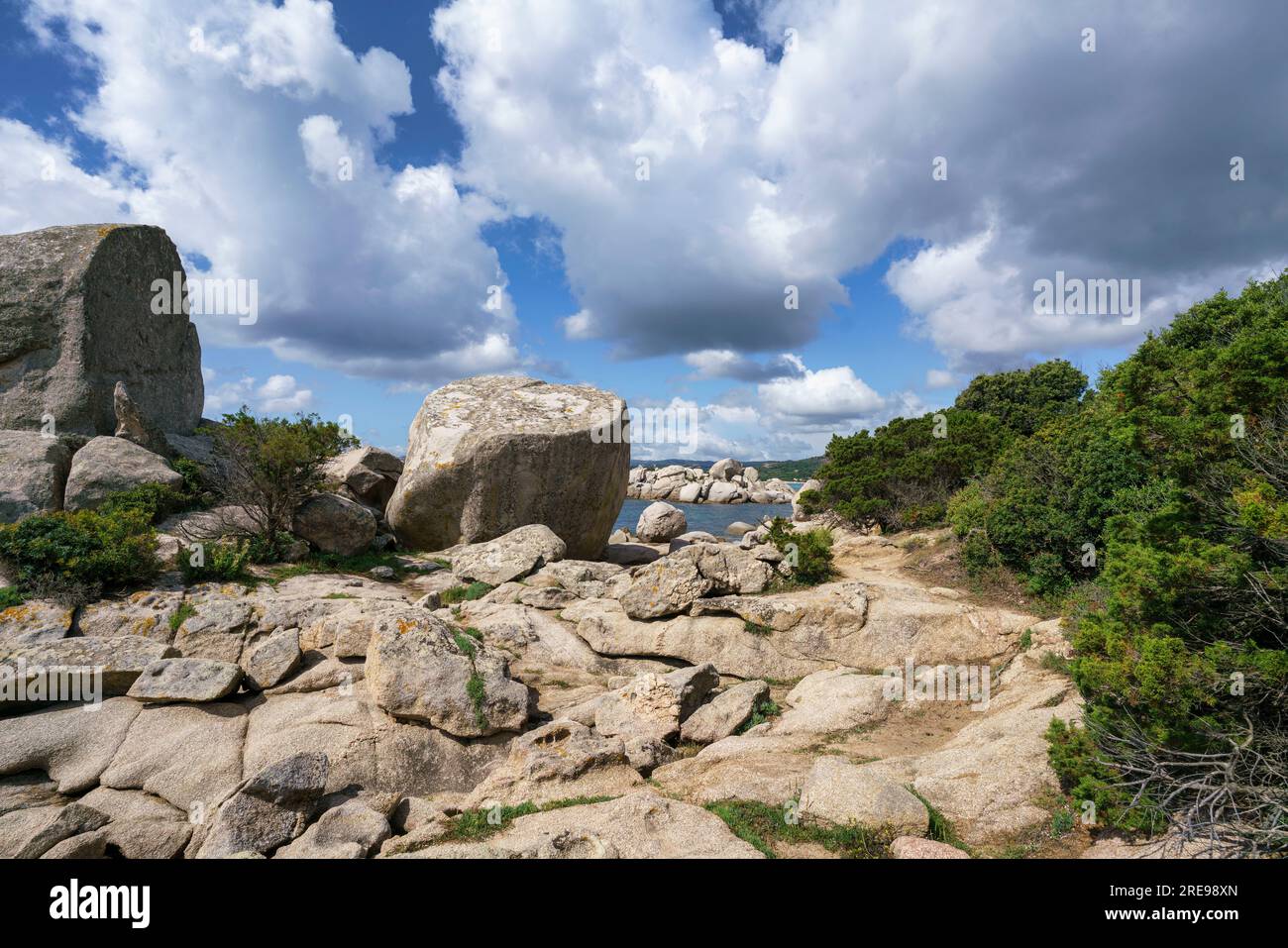 Plage de Tamaricciu, Strand, Beach, Felsen, Corse-du-Sud, Korsika, Frankreich, Europa Foto Stock