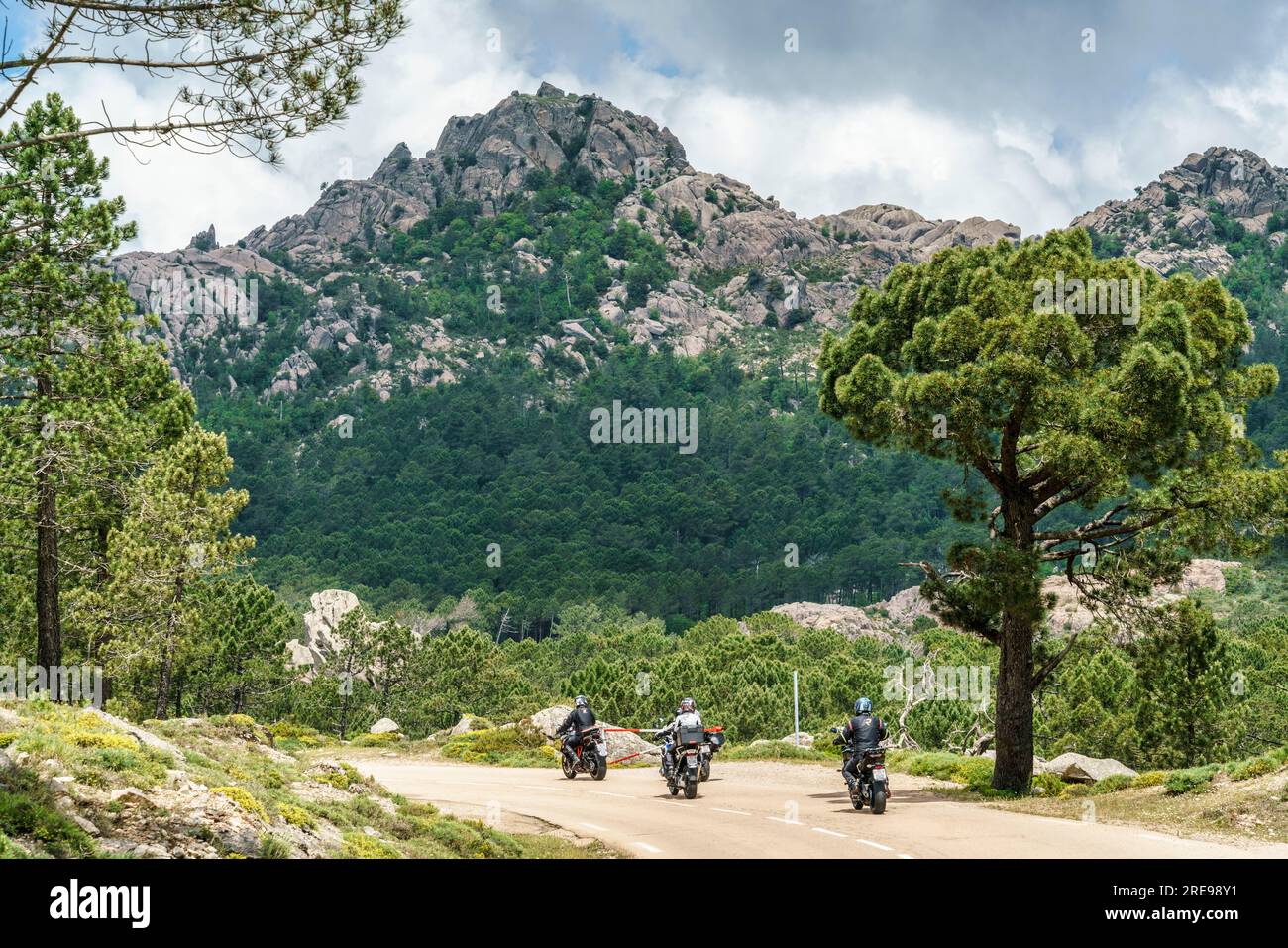 Bavella Gebirge, Motorradfahrer, Wald, Wandergebiet, Korsika, Frankreich, Europa Foto Stock