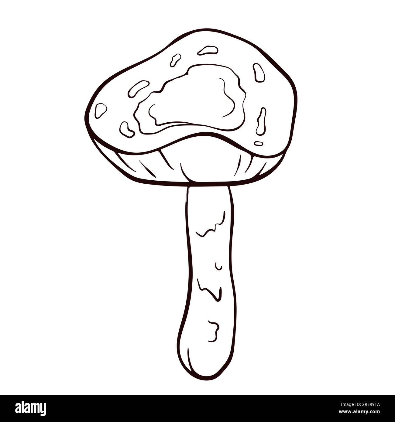 Fungo immangiabile Deadly Dapperling in bianco e nero in stile art-style. Lepiota brunneoincarnata velenosa disegnata a mano. Illustrazione vettoriale isolata su Illustrazione Vettoriale