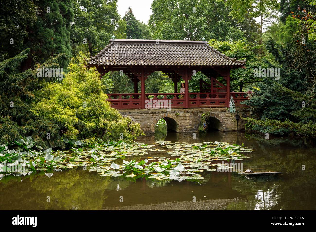 Giardino giapponese a Leverkusen, ponte Mikado, Renania settentrionale-Vestfalia, Germania. Japanischer Garten a Leverkusen, Mikadobruecke, Nordrhein-Westfalen, Foto Stock