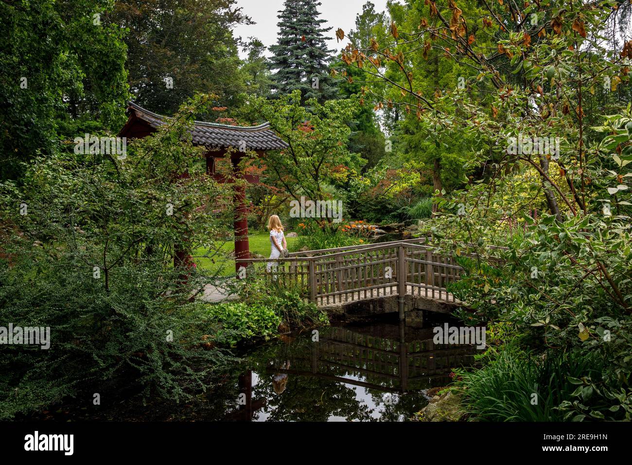 Porta torii e ponte su uno stagno nel giardino giapponese di Leverkusen, Renania settentrionale-Vestfalia, Germania. Torii und Bruecke an einem Teich im Japanischen Foto Stock