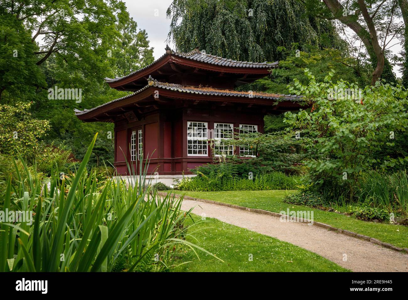 Sala da tè nel giardino giapponese di Leverkusen, Renania settentrionale-Vestfalia, Germania. Teehaus im Japanischen Garten a Leverkusen, Nordrhein-Westfalen, Deut Foto Stock